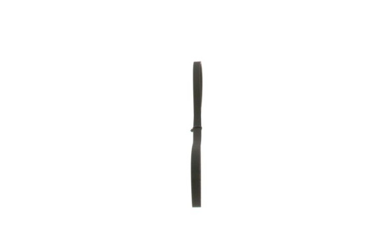 Cinturón múltiple, Imagen 2