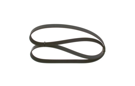 Cinturón múltiple, Imagen 3