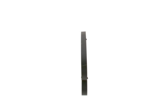 Cinturón múltiple, Imagen 2