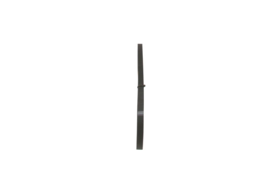 Cinturón múltiple, Imagen 2