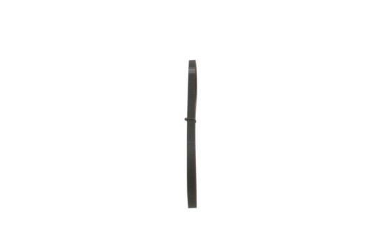 Cinturón múltiple, Imagen 4