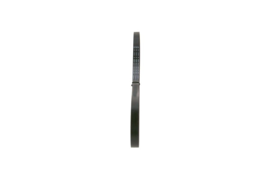 Cinturón múltiple, Imagen 2