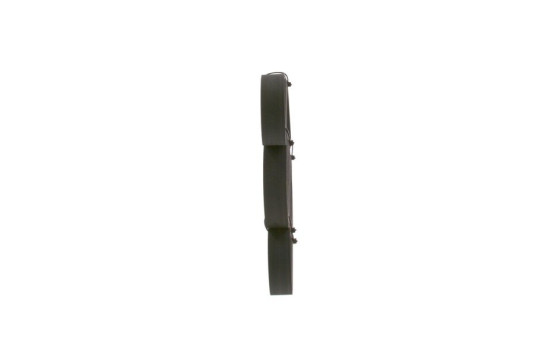 Cinturón múltiple, Imagen 2