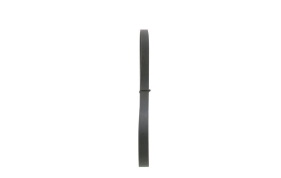 Cinturón múltiple, Imagen 2