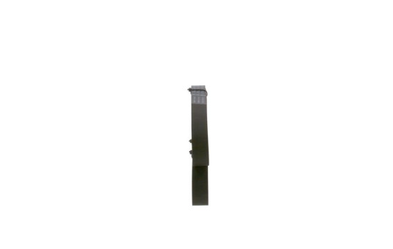 Cinturón múltiple, Imagen 2