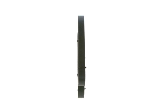 Cinturón múltiple, Imagen 4