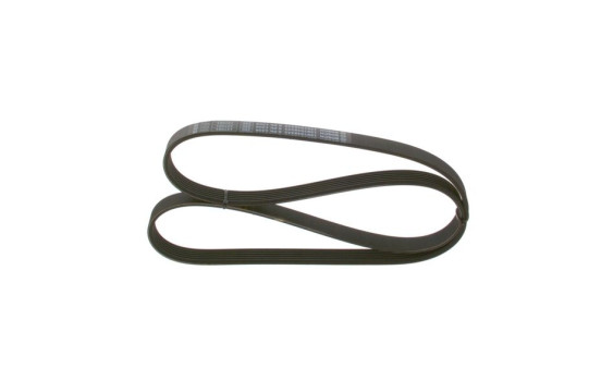 Cinturón múltiple, Imagen 3