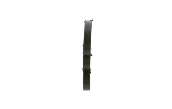 Cinturón múltiple, Imagen 2