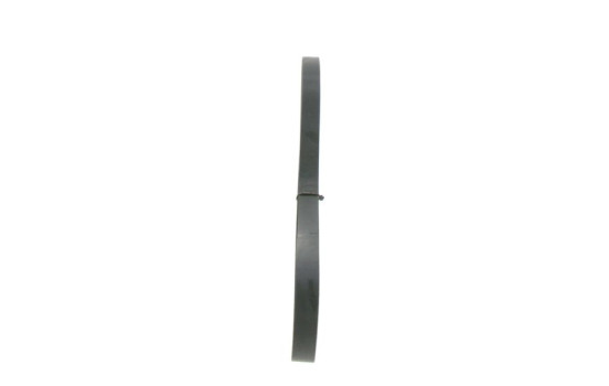 Cinturón múltiple, Imagen 4