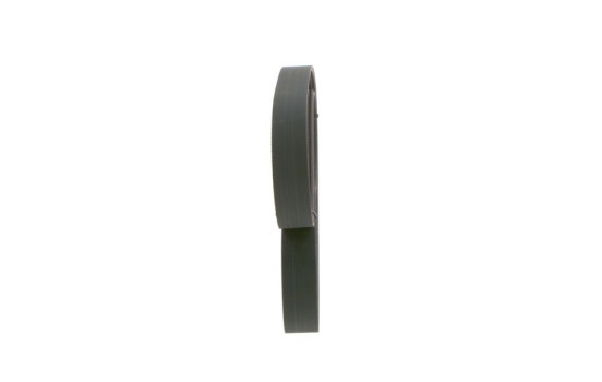 Cinturón múltiple, Imagen 2