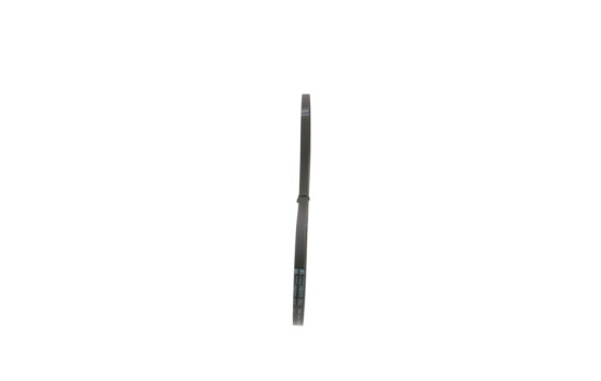 Cinturón múltiple, Imagen 2