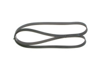 Cinturón múltiple