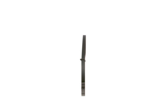 Cinturón múltiple, Imagen 2