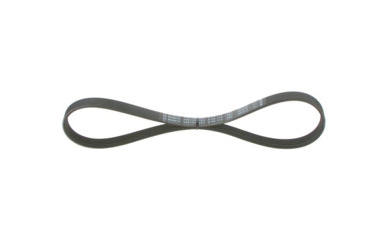 Cinturón múltiple