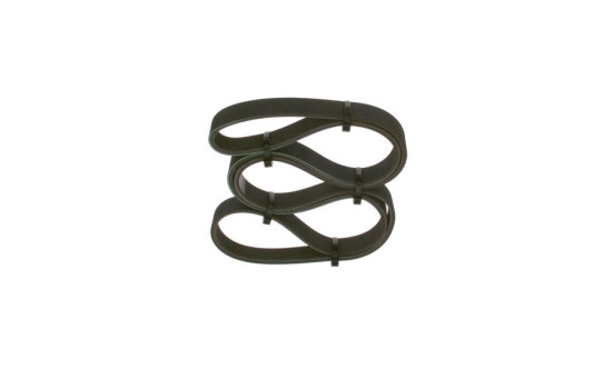 Cinturón múltiple, Imagen 3