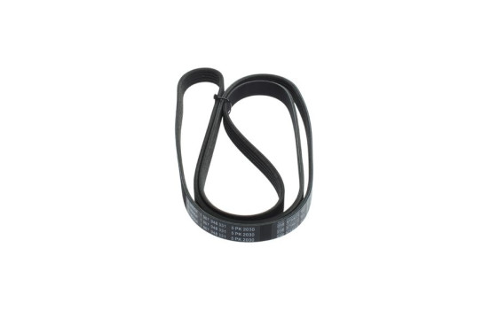 Cinturón múltiple, Imagen 2