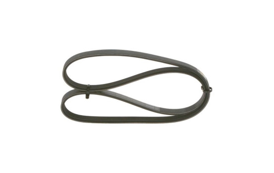 Cinturón múltiple, Imagen 3