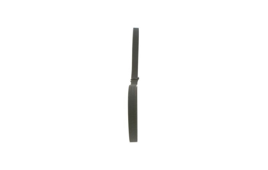 Cinturón múltiple, Imagen 4