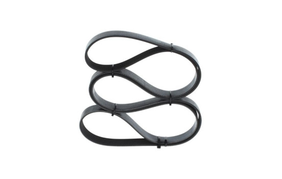 Cinturón múltiple, Imagen 3