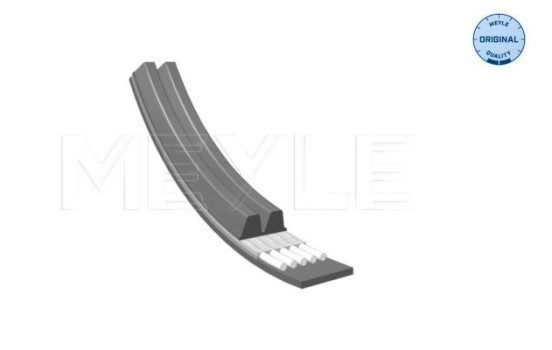 Cinturón múltiple, Imagen 2