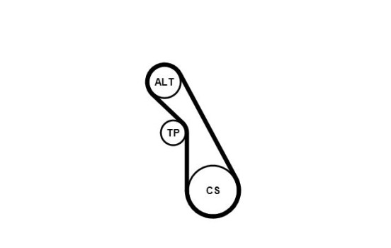 Conjunto de cinturones múltiples 5PK940K1 Contitech, Imagen 3