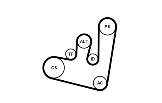 Conjunto de cinturones múltiples 6PK1660K1 Contitech, Imagen 3