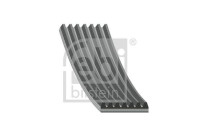 Correa trapezoidal poli V 184866 FEBI