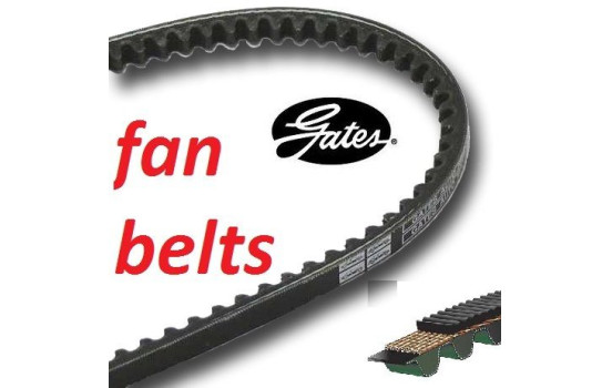 Correa trapezoidal 6218MC Gates, Imagen 2