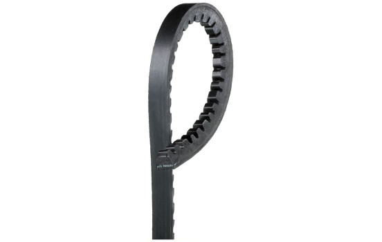 Correa trapezoidal 6263MC Gates, Imagen 3