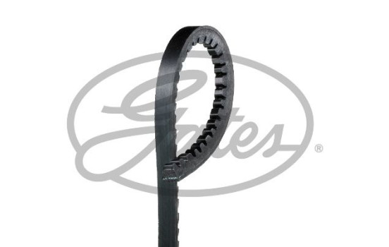 Correa trapezoidal AVX10x800HD Gates