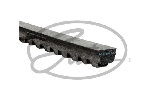 Correa trapezoidal AVX10x800HD Gates, Imagen 2