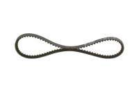 Correa trapezoidal