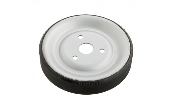 Polea 102466 FEBI