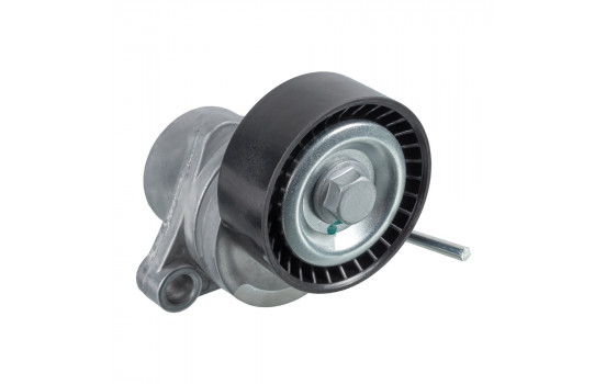 Polea tensora 31076 FEBI