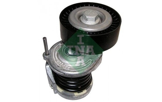 Polea tensora 534016410 Ina
