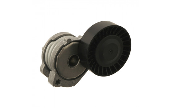 Tensor de correa 30146 FEBI