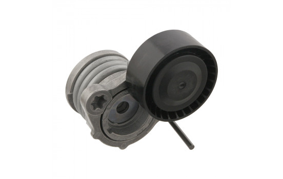 Tensor de correa 32248 FEBI