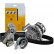 Bomba de agua + correas de distribución CT909WP4 Contitech, Miniatura 2