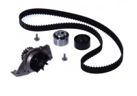 Bomba de agua + correas de distribución CT986WP2 Contitech