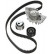 Bomba de agua + correas de distribución CT987WP2 Contitech