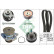 Conjunto bomba de agua + correa de distribución 530053830 Ina, Miniatura 2