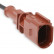 Conjunto bomba de agua + correa de distribución CT1168WP1 Contitech, Miniatura 5