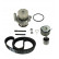 Conjunto bomba de agua + correa de distribución VKMC 01250-2 SKF