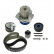 Conjunto bomba de agua + correa de distribución VKMC 01255-1 SKF