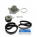 Conjunto bomba de agua + correa de distribución VKMC 01271 SKF