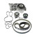 Conjunto bomba de agua + correa de distribución VKMC 01283 SKF