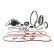 Conjunto bomba de agua + correa de distribución VKMC 03306 SKF