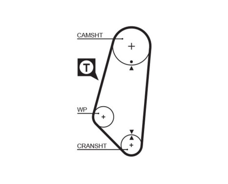 Correa de distribución 5400 Gates