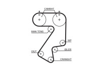 Correa de distribución 5404XS Gates