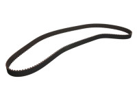 Correa de distribución CT617 Contitech